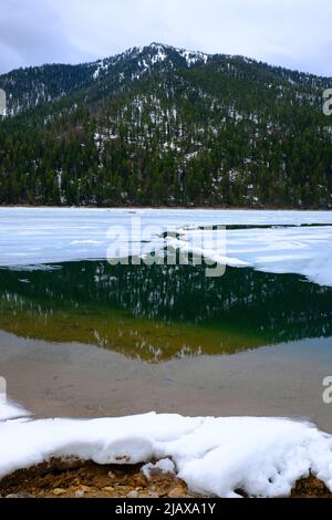 Gefrorener Bergsee oder Teich mit Spiegelung von Berg und Wald mit Riss in der Eisquelle Stockfoto