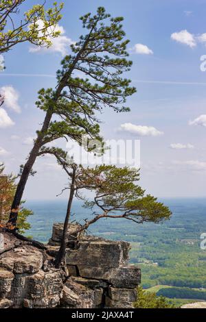 Die Pilot Mountains, 2421 Meter über dem Meeresspiegel, sind das, was von der alten Kette des Sauratown Mountain in North Carolina übrig geblieben ist. Stockfoto