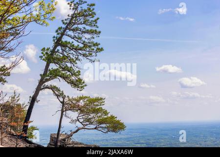 Die Pilot Mountains, 2421 Meter über dem Meeresspiegel, sind das, was von der alten Kette des Sauratown Mountain in North Carolina übrig geblieben ist. Stockfoto