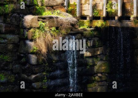 Wasser rieselt über die Staumauer im historischen Yates Mill County Park in North Carolina Stockfoto