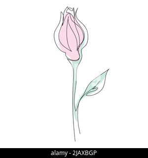 Vektor ROSA Rose Zeichnung einer kontinuierlichen Linie. Farbdarstellung von Blumen im Stil von Linienkunst Stock Vektor