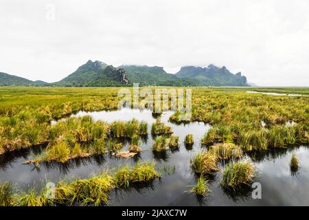 Landschaftlich schöne Luftaufnahme des Flusses in den Bergen, thailand. Stockfoto