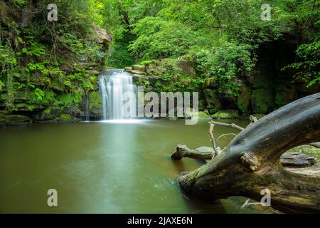 Thomason Foss ein malerischer Wasserfall zwischen den Dörfern Goathland und Beck Hole North York Moors National Park North Yorkshire England GB Stockfoto