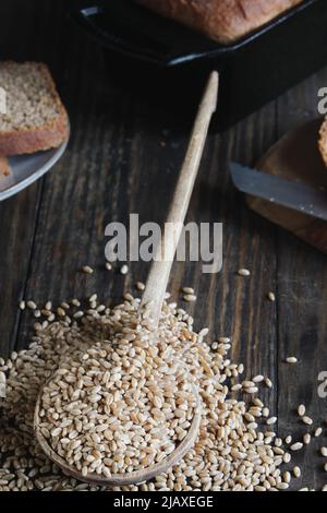 Holzlöffel gefüllt mit harten weißen Weizenbeeren mit einem frisch gebackenen Laib Brot in der Pfanne. Selektiver Fokus mit unscharfem Hintergrund. Stockfoto