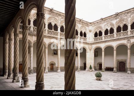 Valladolid, San Gregorio, Kreuzgang Stockfoto