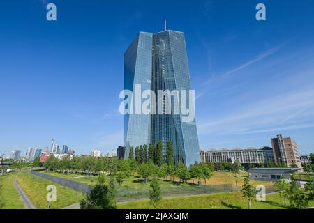 Europäische Zentralbank EZB, Hauptgebäude, Zentrale, Sonnemannstraße, Ostend, Frankfurt am Main, Hessen, Deutschland Stockfoto