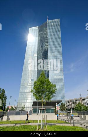 Europäische Zentralbank EZB, Hauptgebäude, Zentrale, Sonnemannstraße, Ostend, Frankfurt am Main, Hessen, Deutschland Stockfoto