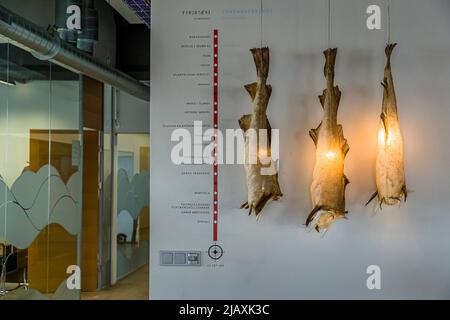 Ocean Cluster House in Reykjavik, Island Stockfoto