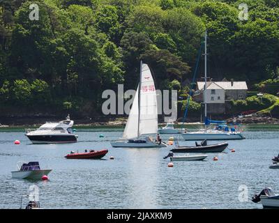 Segelyacht zwischen Booten, die auf dem Helford River, Helford Passage, Cornwall, Großbritannien, festgemacht sind Stockfoto