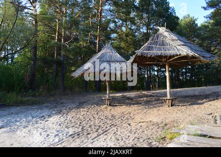 Einsamer Sandstrand am Fluss im Fichtenwald. Wachsende Nadelbäume und Sanddünen am Flussufer bei Sonnenuntergang. Sonnenlicht, Abend. Idyllisches lan Stockfoto