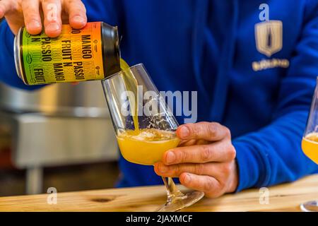 Þórgnýr Thoroddsen, Gründer des Online-Handels für Craft-Bier Björland in Reykjavík, Island, gießt eine Dose des Biers "Mango N Passion Fruit" in ein Glas mit Stiel. Björland positioniert sich sowohl als Unternehmen als auch als Protest gegen das staatliche Alkoholverkaufsmonopol. Stockfoto