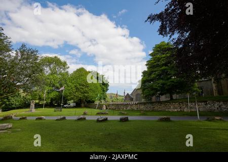 UK Wetter: Rodungen durch den Dartmoor National Park, Devon Stockfoto