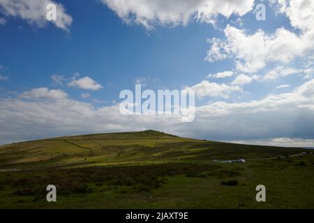 UK Wetter: Rodungen durch den Dartmoor National Park, Devon Stockfoto