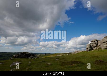 UK Wetter: Rodungen durch den Dartmoor National Park, Devon Stockfoto