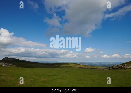 UK Wetter: Rodungen durch den Dartmoor National Park, Devon Stockfoto