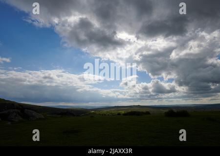 UK Wetter: Rodungen durch den Dartmoor National Park, Devon Stockfoto