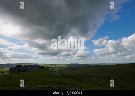 UK Wetter: Rodungen durch den Dartmoor National Park, Devon Stockfoto