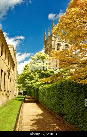 OXFORD CITY MERTON COLLEGE KAPELLE UND TURM VOM GROVE WALK IM FRÜHJAHR GESEHEN Stockfoto