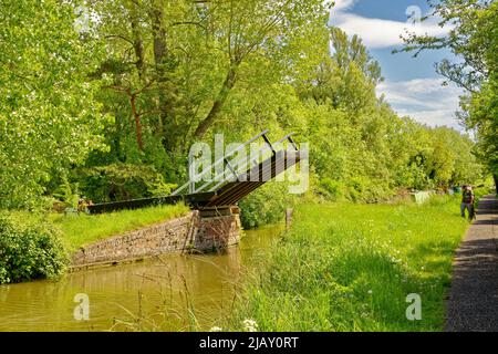 OXFORD CITY DER OXFORD CANAL UND EINE KLEINE ZUGBRÜCKE NUMMER 238 Stockfoto