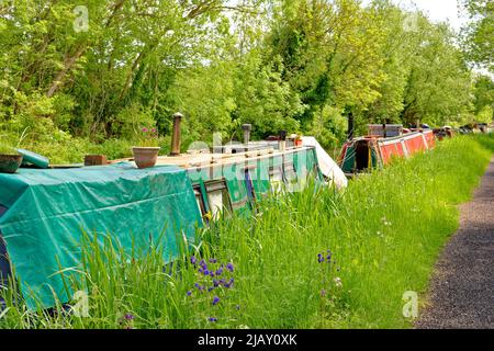 OXFORD CITY DER OXFORD CANAL HAT IM FRÜHLING HAUSBOOTE ODER SCHMALE BOOTE UND BÄUME UND BLUMEN FESTGEMACHT Stockfoto