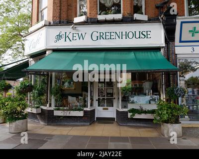 Kew, Greater London, England, Mai 18 2022: Das Kew Greenhouse Cafe gefüllt mit Pflanzen. Geschlossen, Sitzplätze im Freien sind im Inneren gelagert. Stockfoto