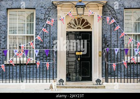 London, Großbritannien. 01.. Juni 2022. Larry, die Katze vor dem dekorierten Äußeren. Vor den NR. 10 und NR. 11 wurden Bunting und Flaggen aufgesetzt, um das Jubiläumswochenende zu feiern und das Platin-Jubiläum der Königin zu feiern. Kredit: Imageplotter/Alamy Live Nachrichten Stockfoto