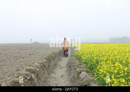 Blauer Himmel Stockfoto