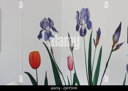 Iris und Tulpenmalerei. Kunstwerk Wandbild von Acrylfarbe auf einer Sommerhauswand. Blumenkunst Stockfoto