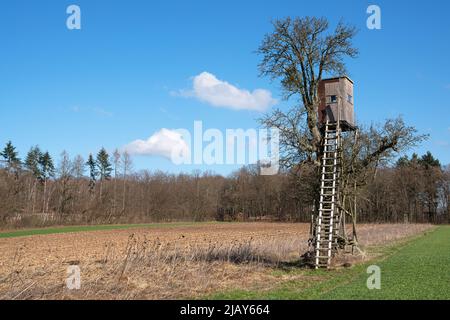 Panoramabild des Deerstand gegen den Himmel, Eifel Deutschland Stockfoto