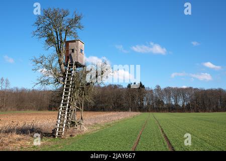 Panoramabild des Deerstand gegen den Himmel, Eifel Deutschland Stockfoto