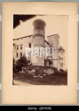 Bliżej Kultury Ignacy Krieger Fotopflanze (Kraków; 1860 1926) Stockfoto