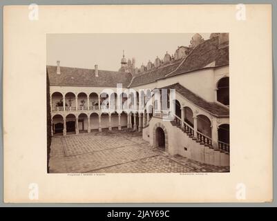 Bliżej Kultury Ignacy Krieger Fotopflanze (Kraków; 1860 1926) Stockfoto