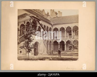 Bliżej Kultury Ignacy Krieger Fotopflanze (Kraków; 1860 1926) Stockfoto