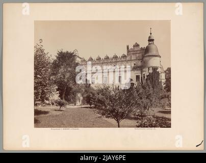 Bliżej Kultury Ignacy Krieger Fotopflanze (Kraków; 1860 1926) Stockfoto