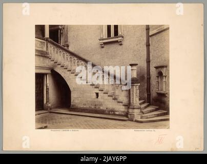 Bliżej Kultury Ignacy Krieger Fotopflanze (Kraków; 1860 1926) Stockfoto