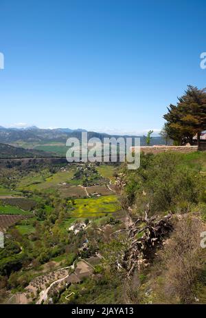 Aussichtspunkt in Ronda über den Bergen von Serrania de Ronda in Andalusien Spanien Stockfoto