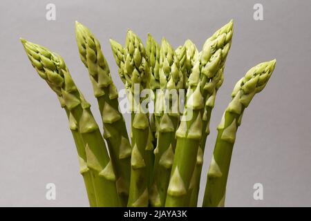 Ein paar Spargel auf einem neutralen Hintergrund Stockfoto