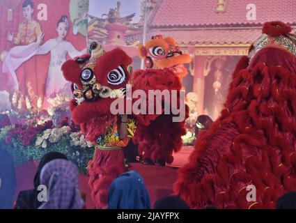 Malang, Ost-Java, Indonesien. 1.. Juni 2022. Lion Dance-Spieler ärgern das Publikum während der Veranstaltung des chinesischen Kulturfestivals im eng an Kiong Tempel. (Bild: © Aman Rochman/ZUMA Press Wire Service) Stockfoto