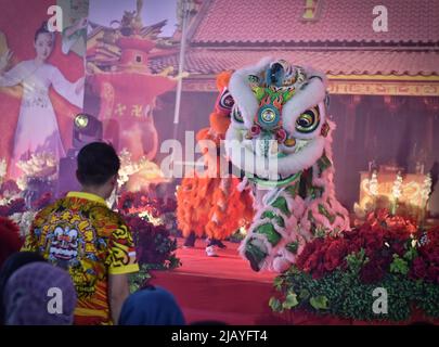 Malang, Ost-Java, Indonesien. 1.. Juni 2022. Lion Dance-Spieler ärgern das Publikum während der Veranstaltung des chinesischen Kulturfestivals im eng an Kiong Tempel. (Bild: © Aman Rochman/ZUMA Press Wire Service) Stockfoto