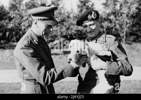 Der König hält eine Investitur auf dem Feld - H.M. der König hielt eine Investitur auf dem Feld am 15.. Oktober. Als er drei Generäle zum Ritter geschlagen und zahlreiche andere Auszeichnungen überreicht hat. Feldmarschall Montgomery stellt seinen Hund 'Hitler' dem König H.M. vor. 21. März 1945. (Foto: Sport & General Press Agency, Limited). Stockfoto