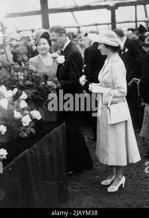 Der König und die Königin, die beide mit Nelkenlöchern versehen sind, bewundern Rosen und Rosen, während Prinzessin Margaret, die eine Nelke hält, auf die königliche Party schaut, die heute die Chelsea Flower Show besuchte. 28. Juni 1951. Stockfoto