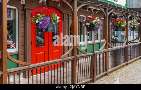 Körbe mit hängenden Petunia-Blumen auf dem Balkon. Petunia Blume in Zierpflanze. Straßenfoto, Niemand, selektiver Fokus Stockfoto