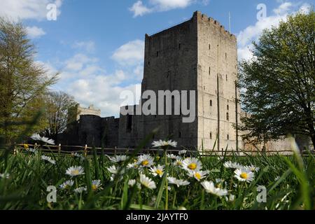 Die eindrucksvollste und besterhaltene der römischen Forts der Sächsischen Küste, das Portchester Castle in Portchester, in der Nähe von Portsmouth in Hampshire, wurde ursprünglich Ende des 3.. Jahrhunderts erbaut. Mit einer Fläche von fast zehn Hektar ist es die einzige römische Festung in Nordeuropa, deren Mauern noch immer hauptsächlich bis zu ihrer vollen Höhe von 6 Metern mit den meisten ihrer ursprünglich zwanzig Türme stehen. Die riesige Festung am Wasser, die später eine sächsische Siedlung beherbergt, wurde im 12.. Jahrhundert zu einem normannischen Schloss, als in einer Ecke ein beeindruckender Turmfried errichtet wurde. PIC MIKE WALKERT 2010 Stockfoto