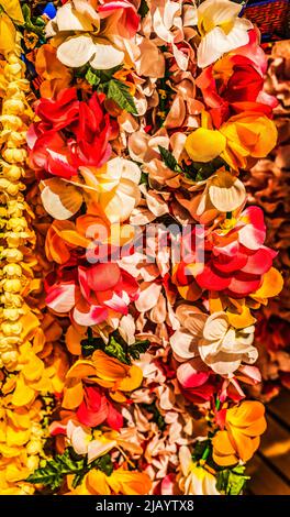 Bunte künstliche Hawaiianische Leis-Blumenketten Waikiki Honolulu Hawaii gemeinsames Symbol für Liebe und Freundschaft Stockfoto