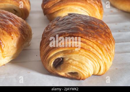 Frisch gebackene traditionelle französische Croissant-Schokolade - Petit Pain au Chocolat, glänzend in den Strahlen der Morgensonne. Stockfoto