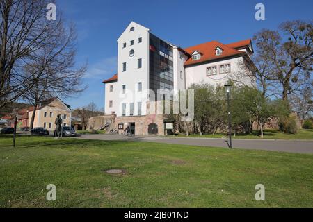 Schloss und Museum in Bad Frankenhausen, Thüringen, Deutschland Stockfoto