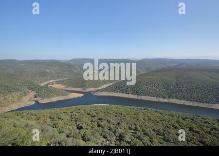 Blick vom Castillo de Monfragüe auf die Ufer des Rio Tajo, Extremadura, Spanien Stockfoto