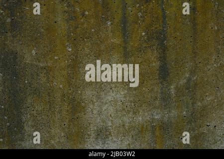 Moosige alte Wand rissig und abgeschält Textur. Sehr atmosphärisch Stockfoto