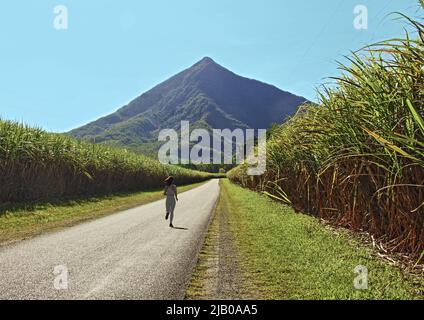 Die Walsh's Pyramid verläuft durch Rohrfelder auf der Rückseite entlang der Behana Gorge Road zu dieser Naturattraktion, die sich südlich von Cairns in FNQ befindet Stockfoto