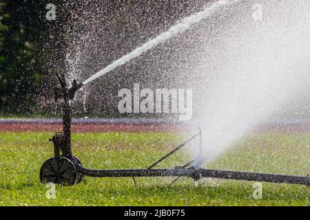 Sprinkler-Bewässerung im Park. Stockfoto